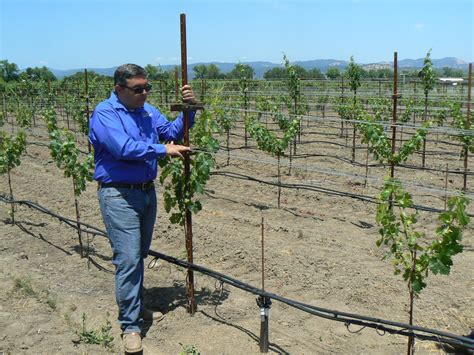 trellis trial over